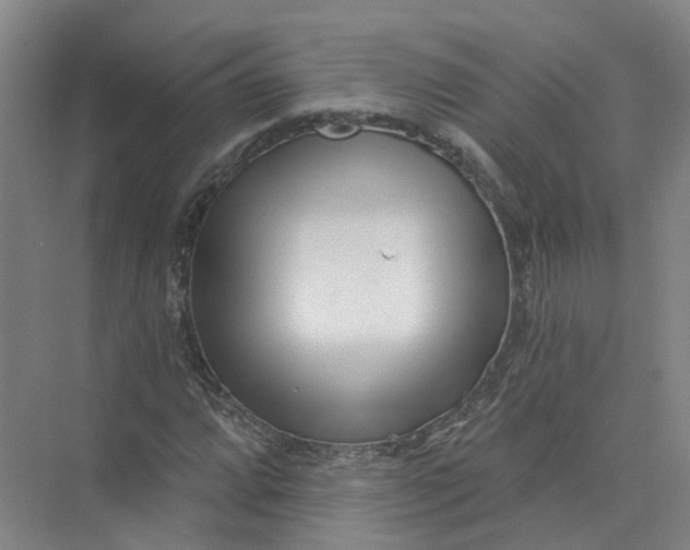 X0000073831064200608311903