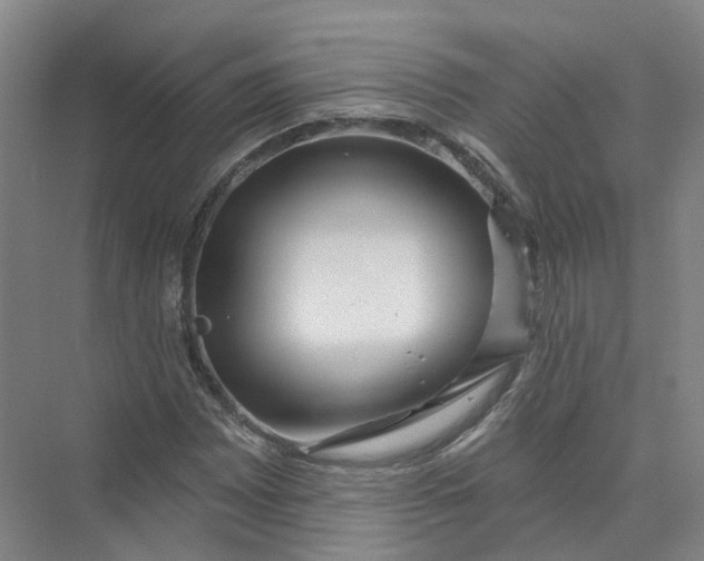 X0000073831065200608311903