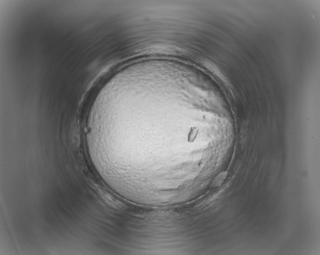 X0000073831067200608311902