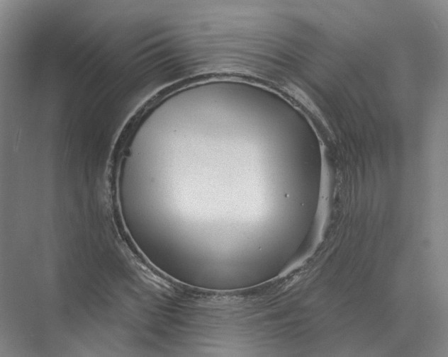 X0000073831068200608311902