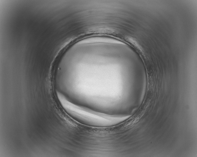 X0000073831071200608311902