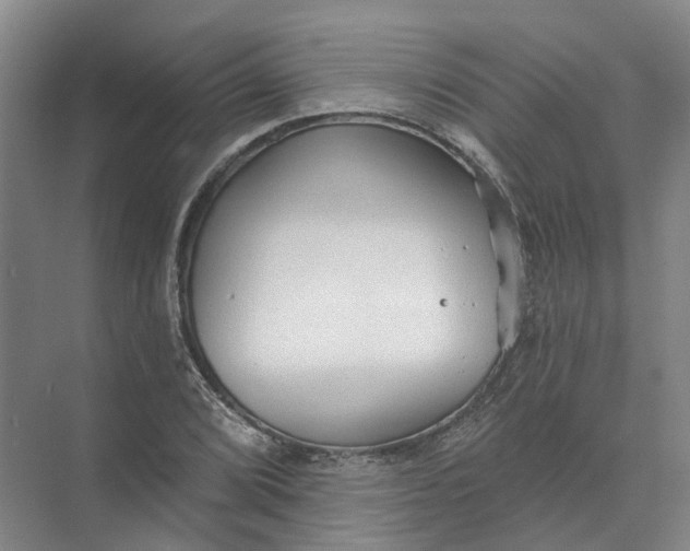 X0000073831072200608311902