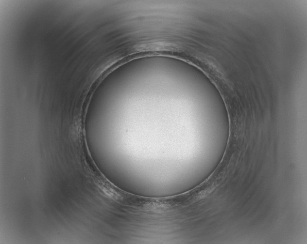 X0000073831073200608311902