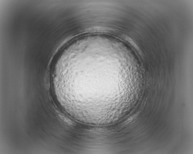 X0000073831075200608311902