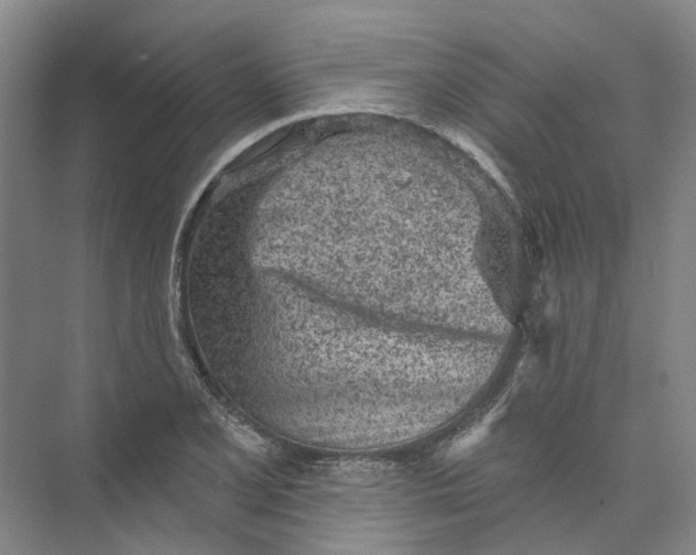 X0000073831077200608311902