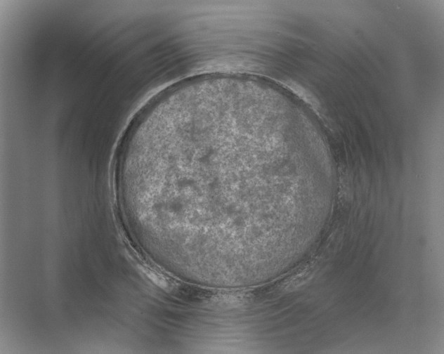 X0000073831078200608311902