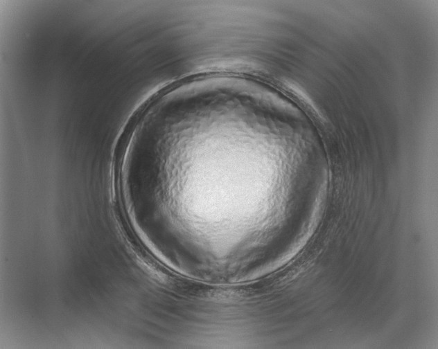 X0000073831079200608311902