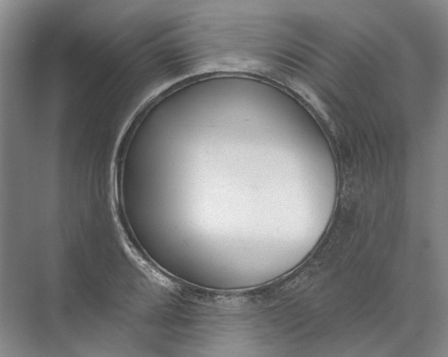 X0000073831080200608311902