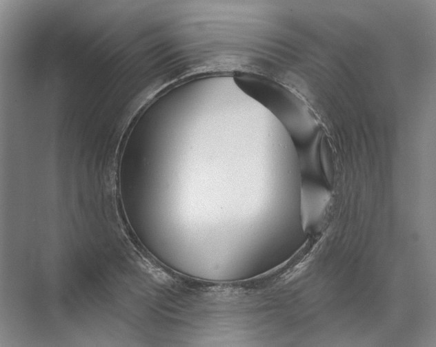 X0000073831081200608311902