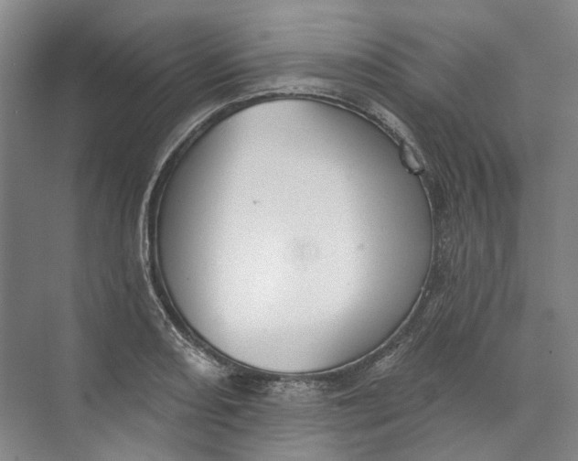 X0000073831082200608311902