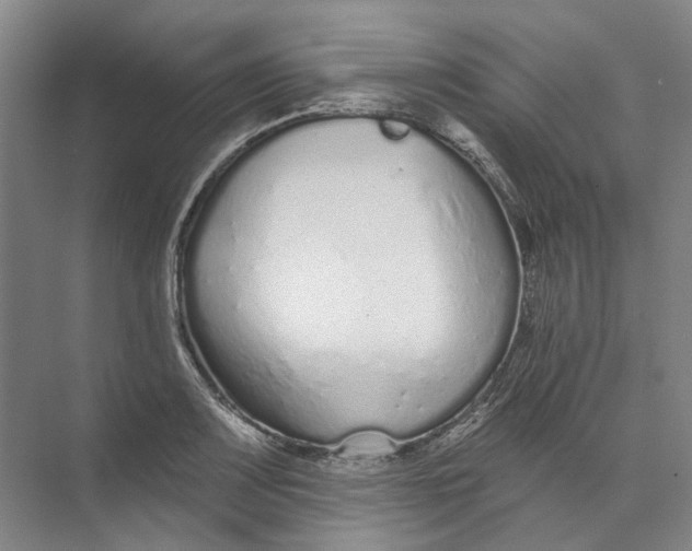 X0000073831083200608311902