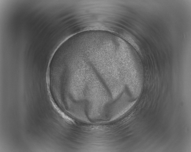 X0000073831084200608311902