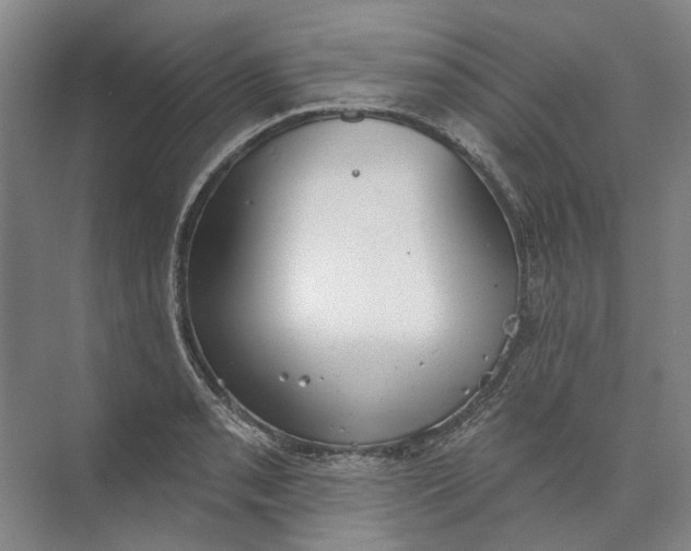 X0000073831085200608311902