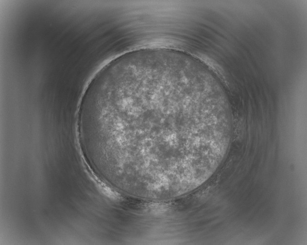 X0000073831086200608311902