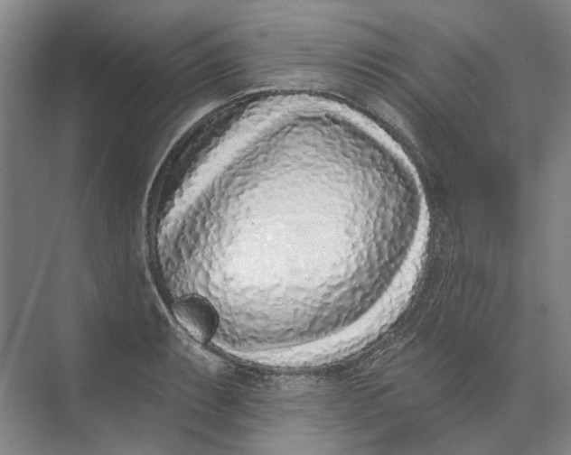 X0000073831087200608311902