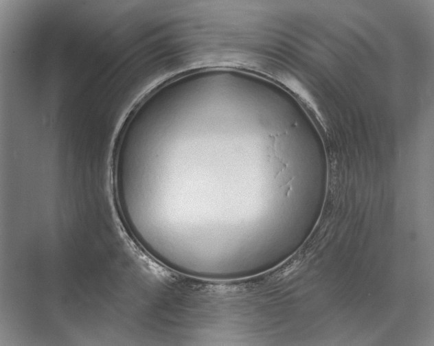 X0000073831088200608311902