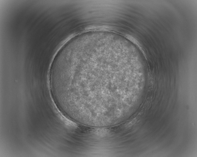 X0000073831090200608311902