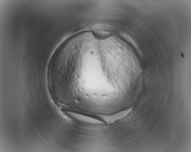 X0000073831091200608311902