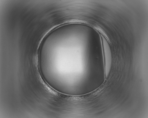 X0000073831092200608311902