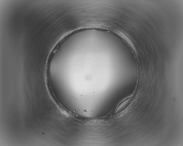 X0000073831093200608311902