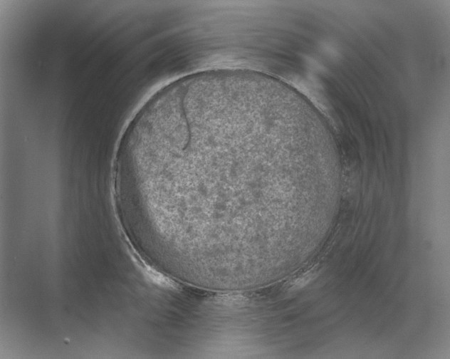 X0000073831094200608311902