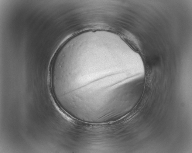 X0000073831095200608311902