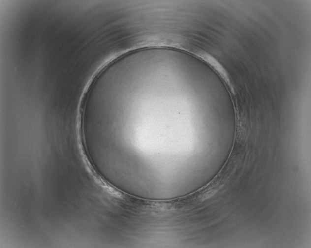 X0000073831096200608311902