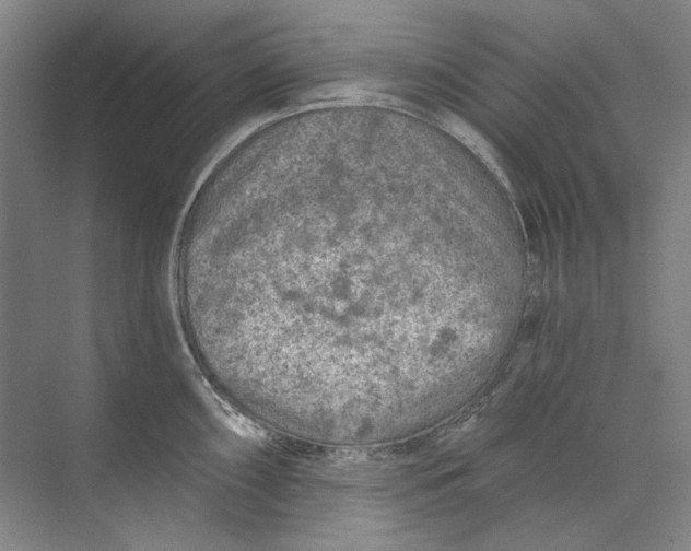 X0000073831098200608311902