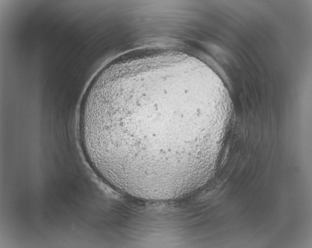 X0000073831099200608311902