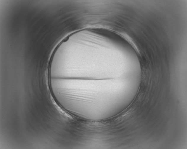 X0000073831100200608311902