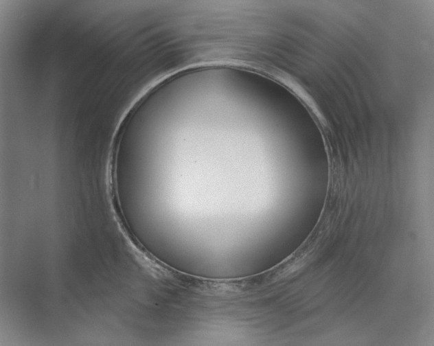 X0000073831101200608311902