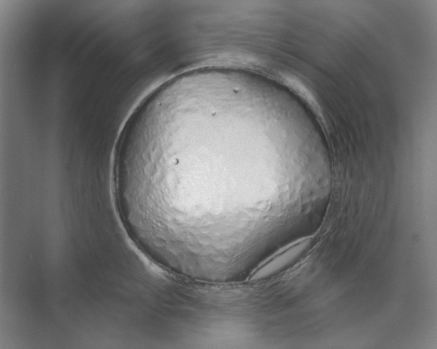 X0000073831103200608311902