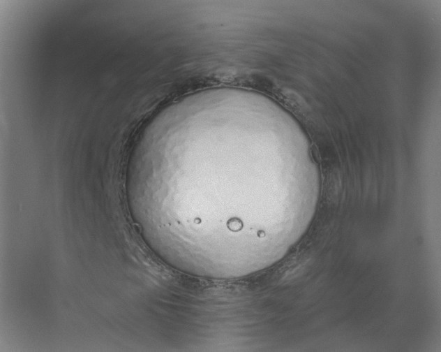 X0000073831105200608311901