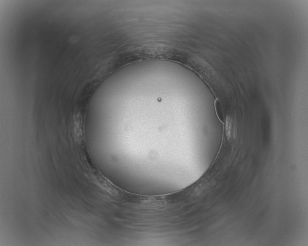 X0000073831107200608311901