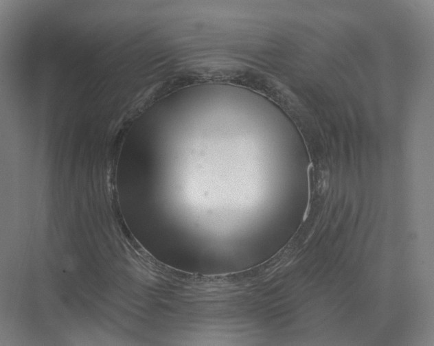 X0000073831108200608311901