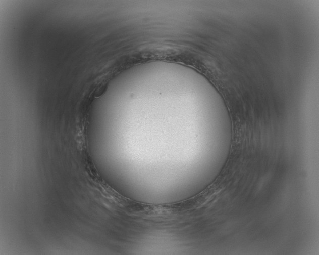 X0000073831109200608311901