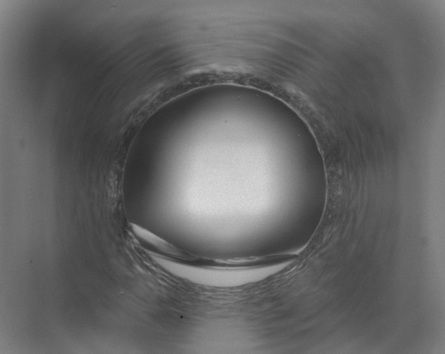 X0000073831110200608311901