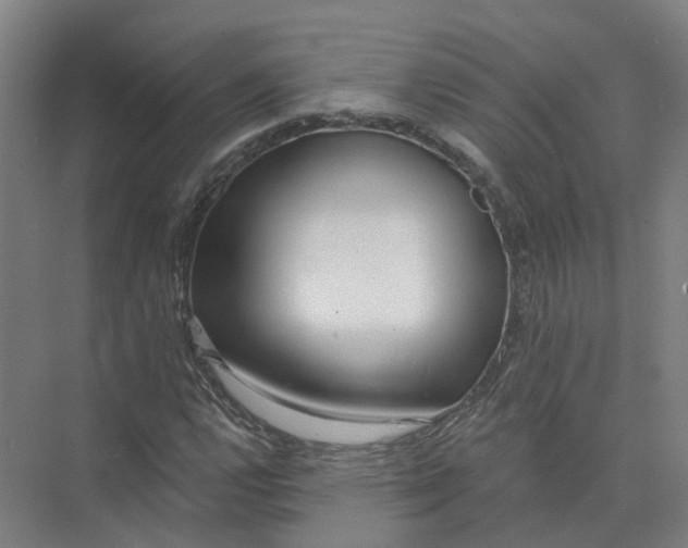 X0000073831112200608311901