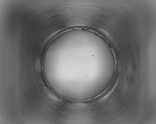 X0000073831113200608311901