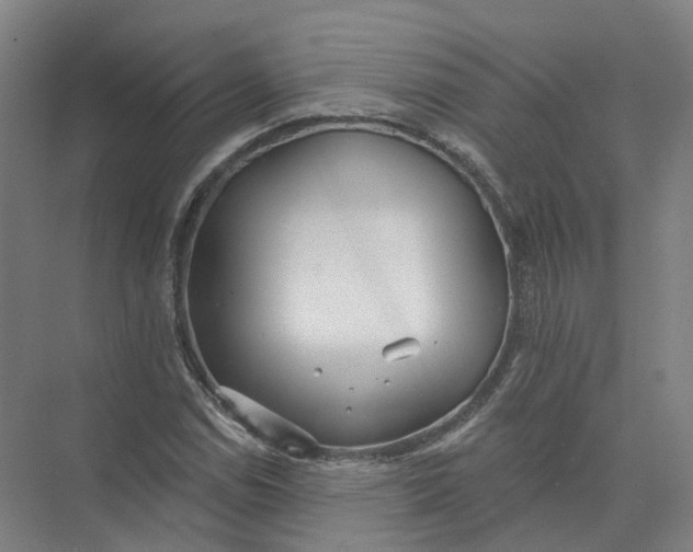 X0000073831114200608311901