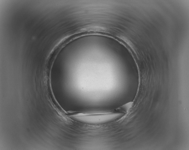 X0000073831115200608311901