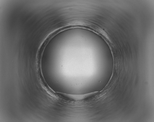 X0000073831116200608311901