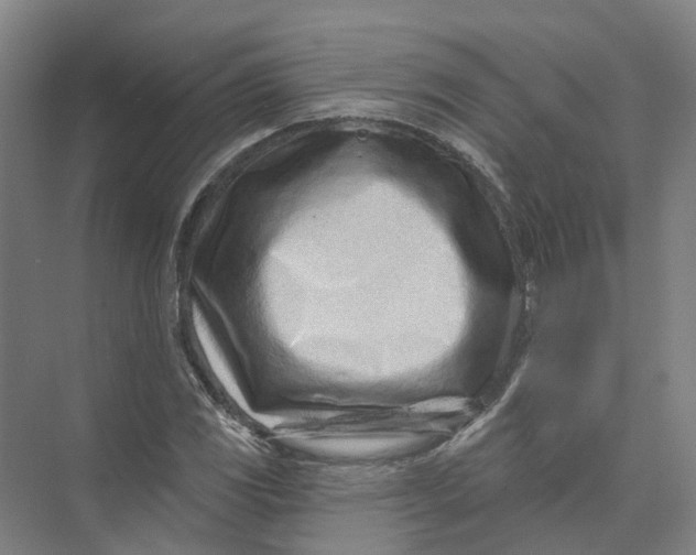 X0000073831117200608311901