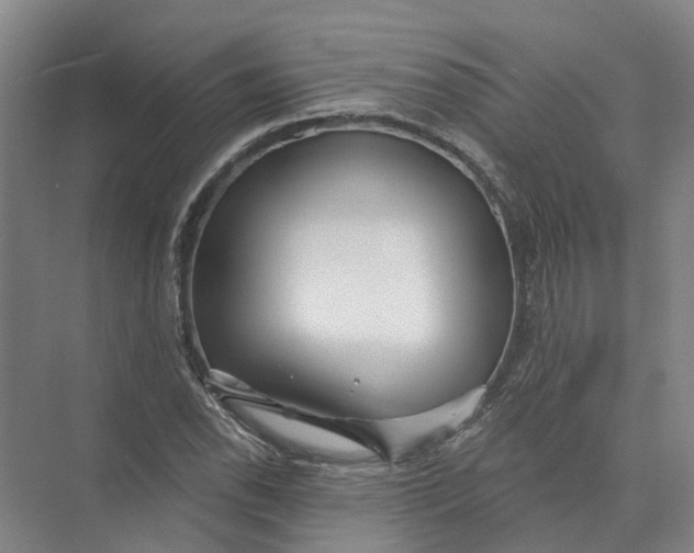 X0000073831118200608311901