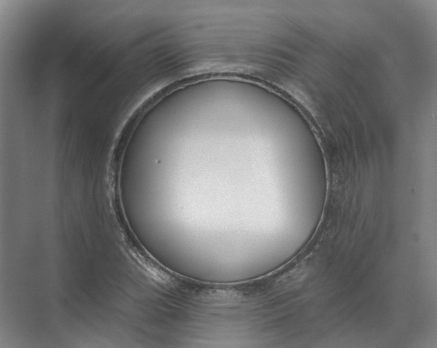 X0000073831119200608311901