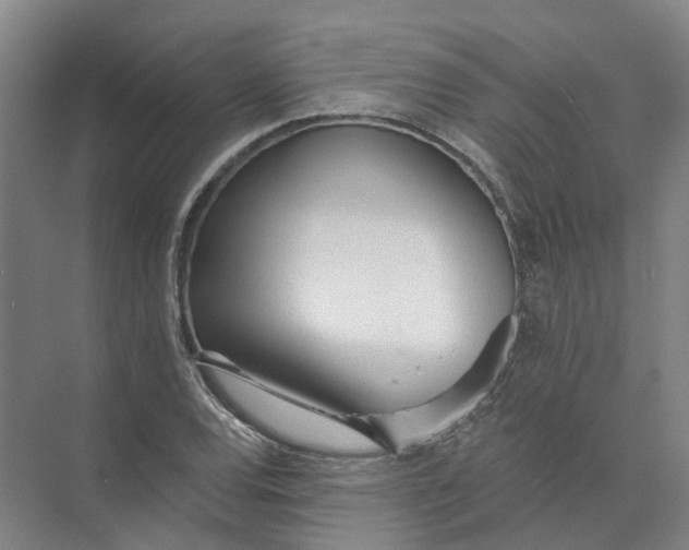 X0000073831120200608311901