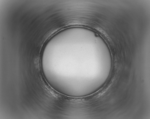 X0000073831121200608311901