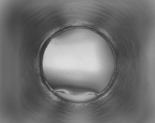 X0000073831122200608311901