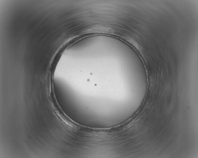 X0000073831123200608311901