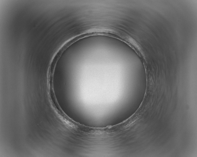 X0000073831124200608311901